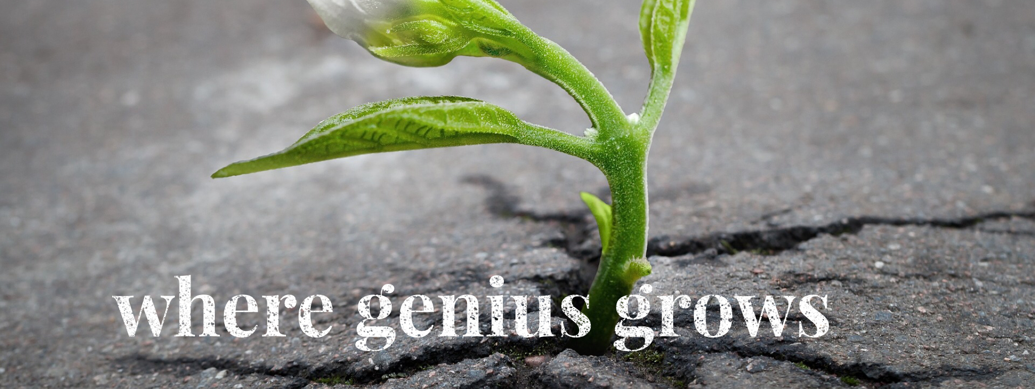 Where Genius Grows